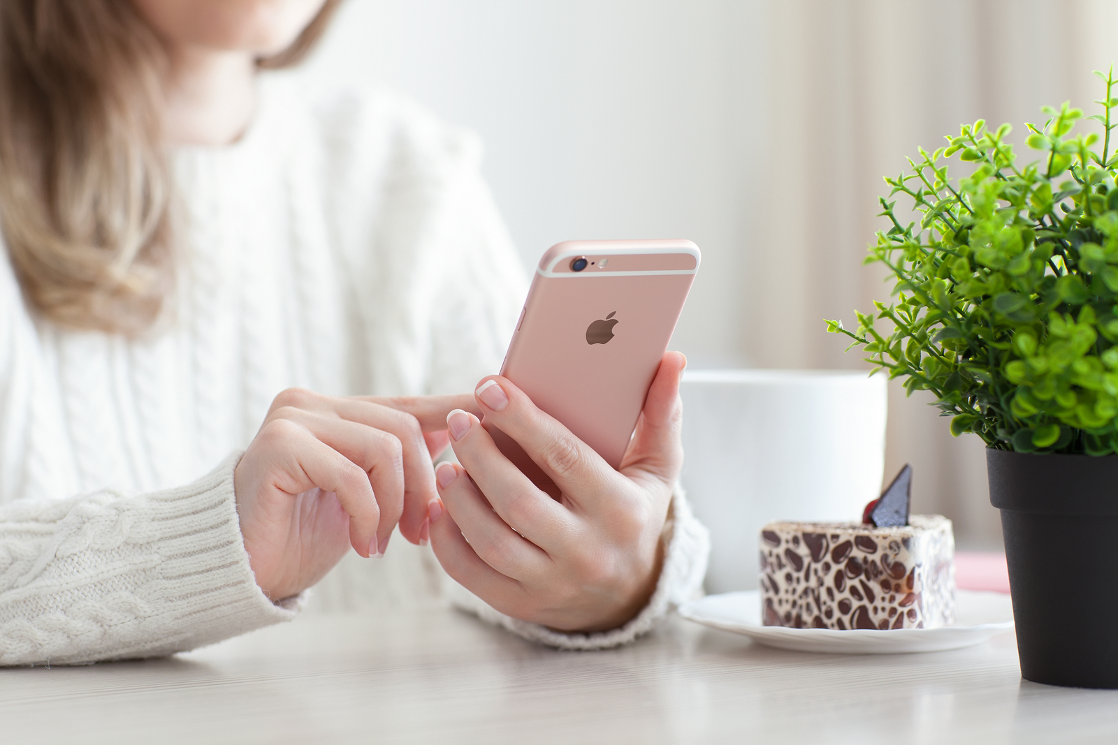 A lady using an iPhone near a cake and plant