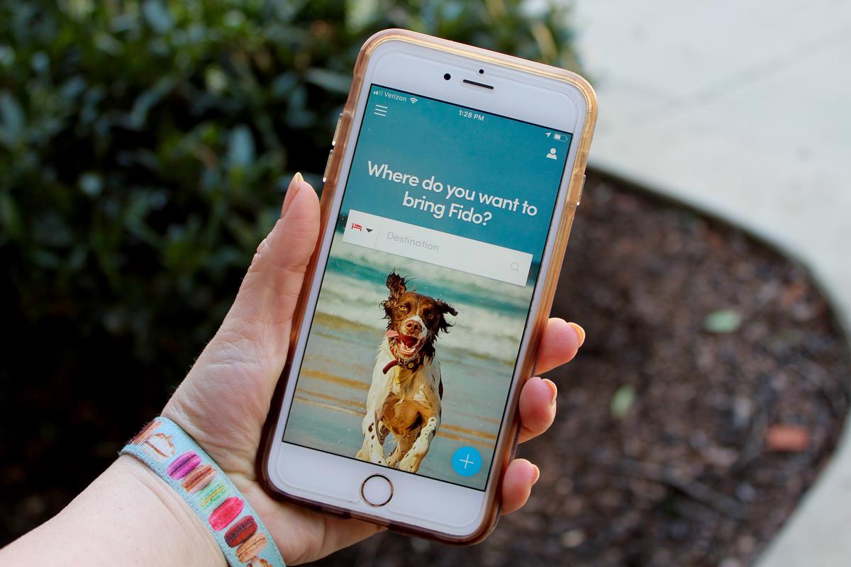 A person holds an iPhone displaying a dog on the screen