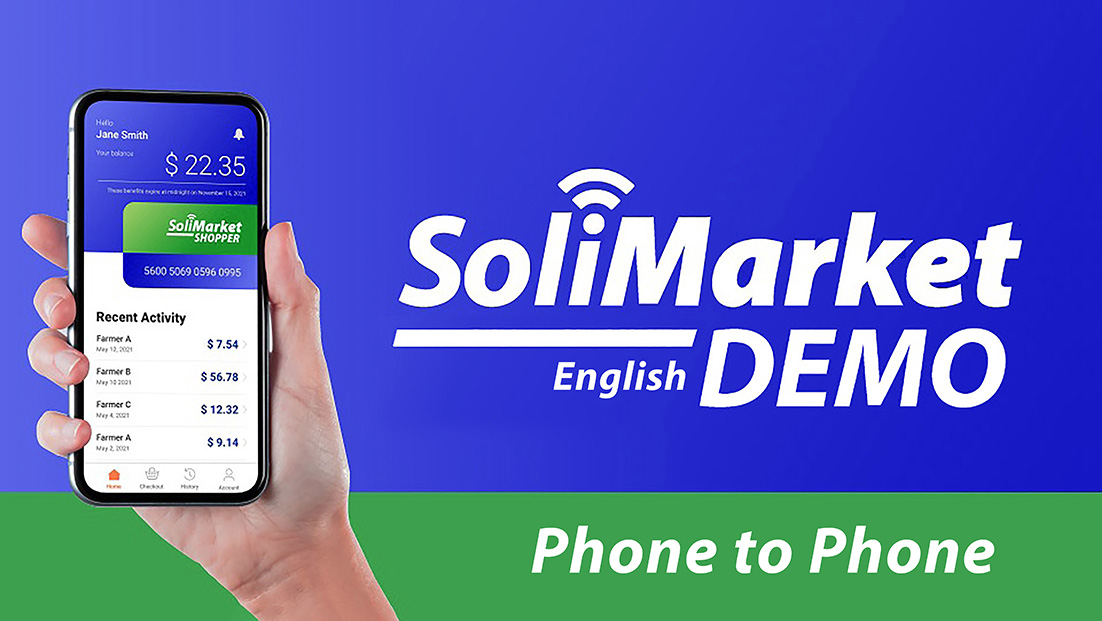 Solar market demonstration in English showcasing renewable energy